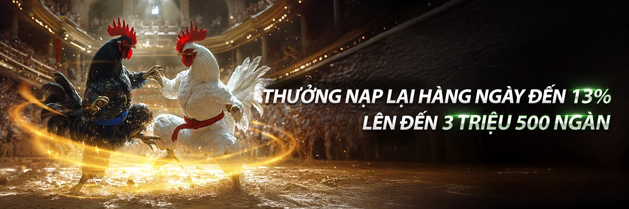 Đá Gà Trực Tuyến Hấp Dẫn tại Keobong88